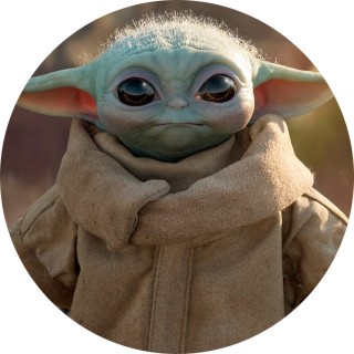 the_meme_master_69_420 avatar