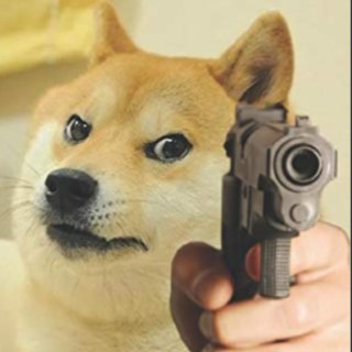 memerdoge26 avatar