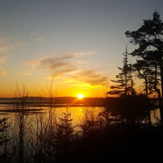 _no_shit_sherlock_ avatar