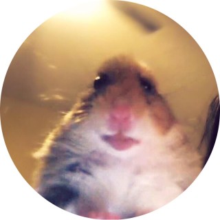 hot_hamster avatar
