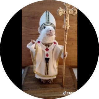 kyle_likes_memes avatar