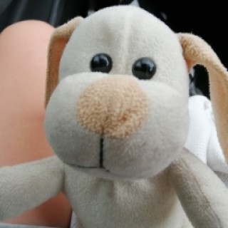 reagandog2010 avatar