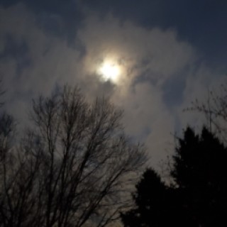 Meeshmallow.Sqoosh.Sqeesh avatar