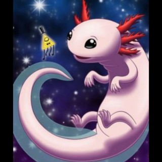 BillChiper123 avatar