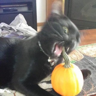 sophia_1667149371 avatar