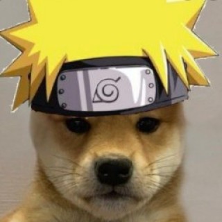doggo_like_anime avatar