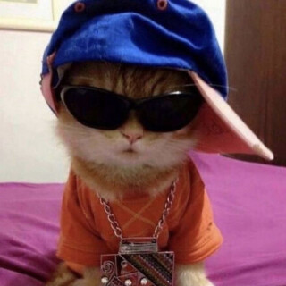 Yourlocal_trashcan avatar