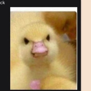 Apersonwhoisadinonuggy avatar