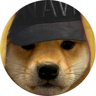 doggowastaken avatar