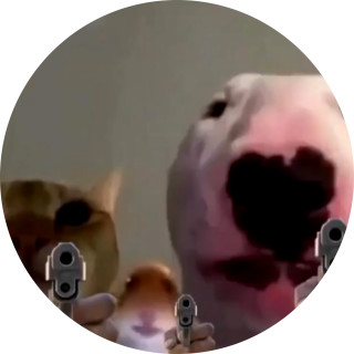 memertime_bigbrain avatar