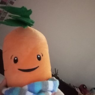 kpopfancamstories avatar