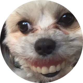 laughing_cow12 avatar