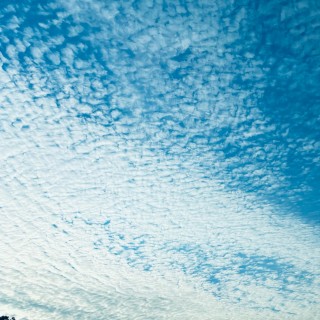 SomeGuyOnMemes avatar