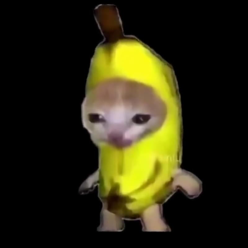 aidem_qatrick avatar