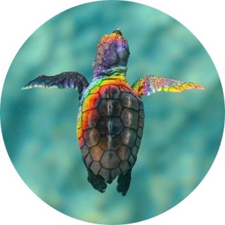 lemon_hello_2735 avatar