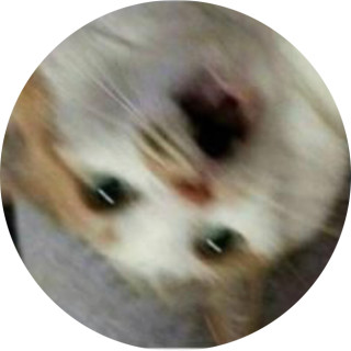 gold_carnival27 avatar