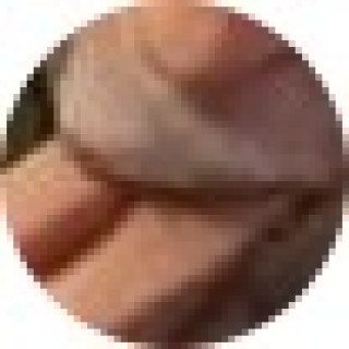 Steal_My_Memes avatar