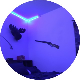 logan_glander avatar