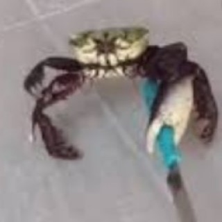 murder_crab avatar