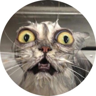 miamonetfierro avatar