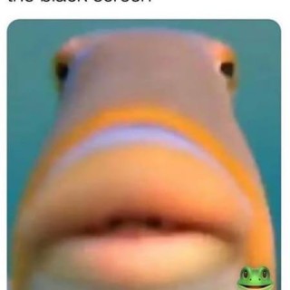 Xx_felix.memes_Xx avatar