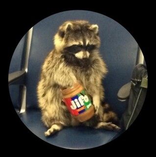 IDaGoofiestGuuber avatar