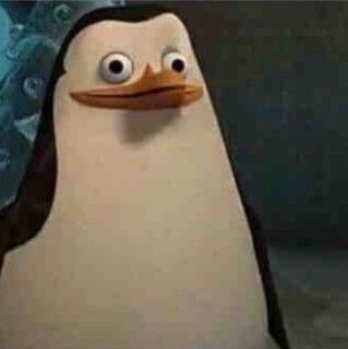 the_dum_penguin avatar