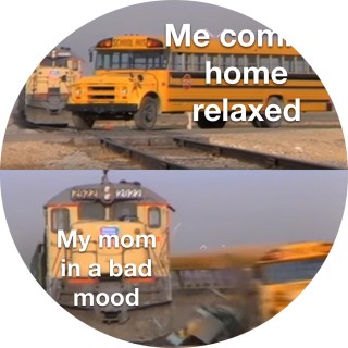 Mr_Daily_Memes avatar