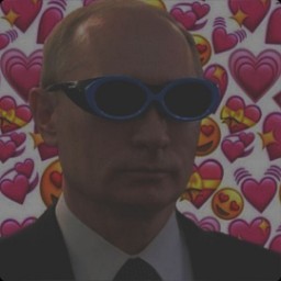 Vladimir_put_in avatar