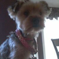 mt.mckinnon343 avatar