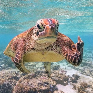 payton-aguilera avatar