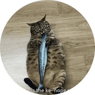 YAYEET123456789 avatar