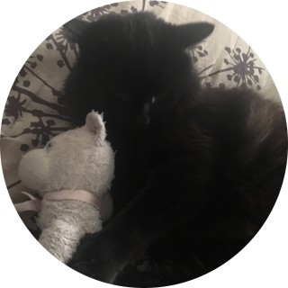 emilywright829 avatar