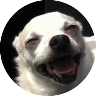 JonahWasTaken avatar