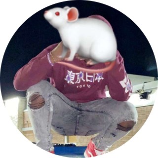 hoopidoopidoo avatar