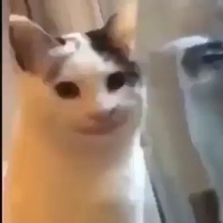 Y.baraa.x.226 avatar