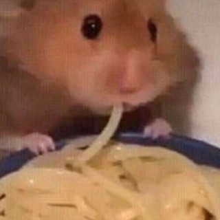 potato_bot6251 avatar