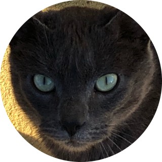 that_one_memer1236 avatar