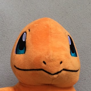 Charmander100 avatar