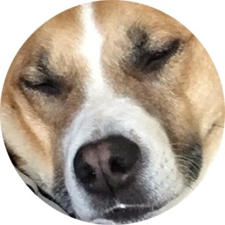 savannah_scotte avatar