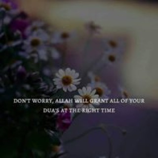 laibaasim5402 avatar