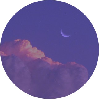 memes_the_memes avatar