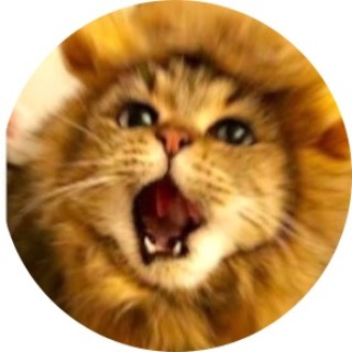 two_unskipable_adds avatar