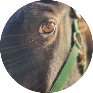 bestfriend_georgia avatar