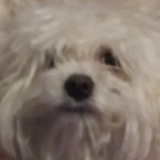 Redbullforlife avatar