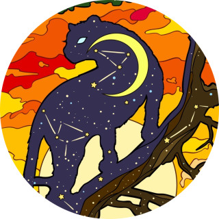 galaxy_fury_lepard123 avatar