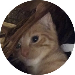 xx_ranja_girl_xx avatar