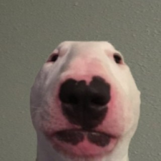 TheUltimateWeeb avatar