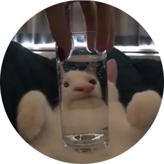 thebeautywolf avatar