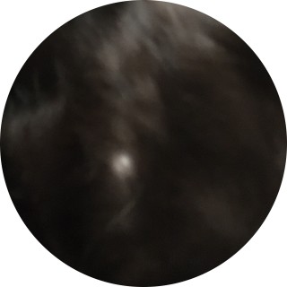 gofuck_yourself_justmemes avatar